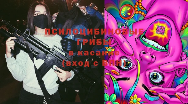 СК Медвежьегорск