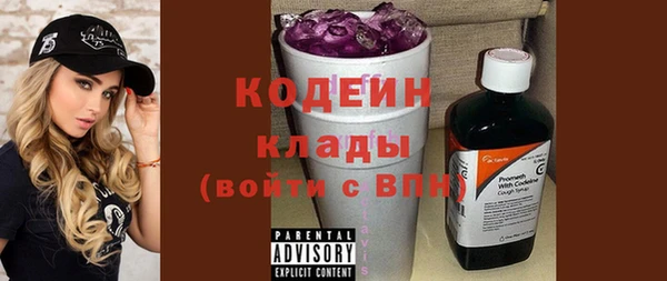 СК Медвежьегорск