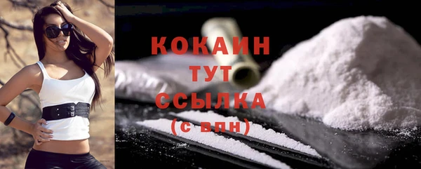 дмт Мегион