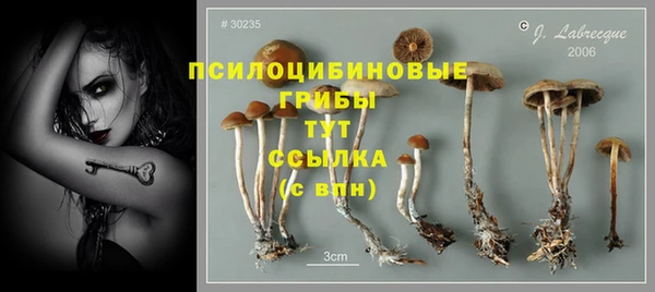 СК Медвежьегорск