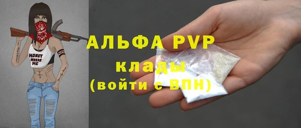 СК Медвежьегорск