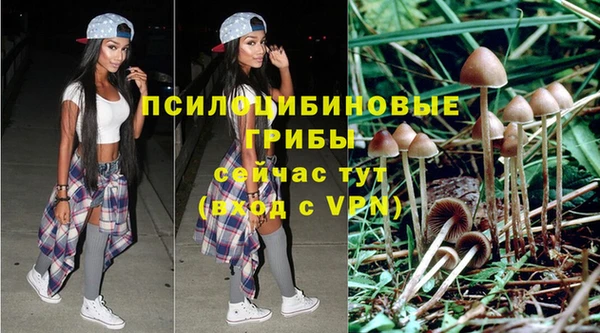 дмт Мегион
