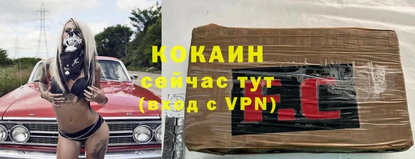 СК Медвежьегорск