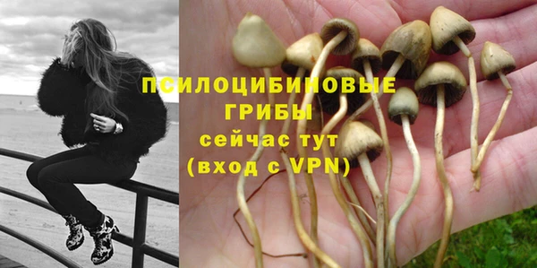 таблы Магас