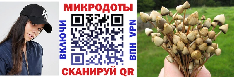 Псилоцибиновые грибы GOLDEN TEACHER закладки Морозовск