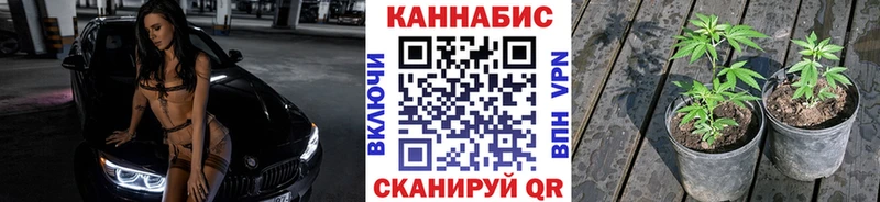 Канабис SATIVA & INDICA  магазин продажи   Морозовск 