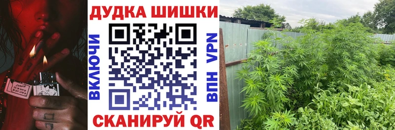 Бошки Шишки индика Морозовск